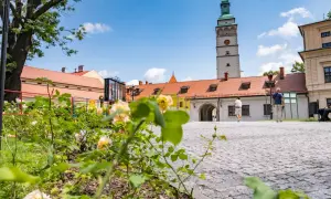 Kwiaty i zabytkowa wieża w Żywcu. Idealne miejsce na spacer i odkrywanie atrakcji dla dzieci.