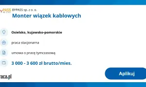 Monter wiązek elektrycznych - odpowiedzialność, zarobki i wymagania