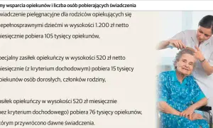 Uśmiechnięta opiekunka czesze starszą panią w fotelu. Obrazek ilustruje wsparcie dla opiekunów osób niepełnosprawnych.