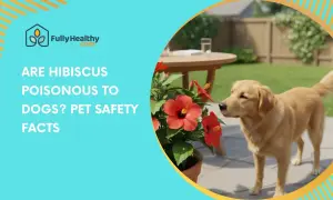 A golden retriever sniffs a potted hibiscus plant in a backyard. Text asks: "ARE HIBISCUS POISONOUS TO DOGS? PET SAFETY FACTS.
