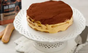 Tiramisù pronto, con savoiardi e crema, spolverato di cacao. Gli ingredienti tiramisù sono pronti per essere gustati.