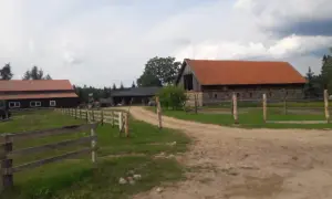 Stadnina koni Mycyny - wyjątkowe miejsce na agroturystyczne przygody