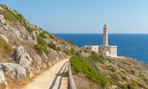 Sentiero roccioso con vegetazione mediterranea che porta a un faro bianco sul mare blu, tipico paesaggio del Salento città.