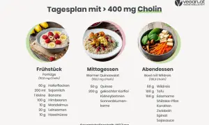 Tagesplan mit über 400 mg Cholin, wichtig für die Schwangerschaft. Enthält Frühstück, Mittag- und Abendessen mit veganen Rezepten.