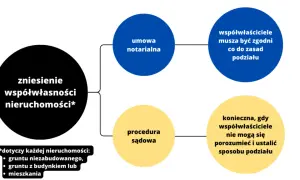 Zasiedzenie nieruchomości przez współwłaściciela: Czy to możliwe?