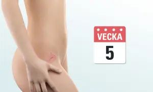 En illustration visar en gravid mage med en liten livmoder som visar gravid vecka 5. En kalenderikon visar "Vecka 5".