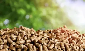 Stos drewna opałowego, pellet 8 mm, na tle zieleni. Ekologiczne paliwo gotowe do użycia.