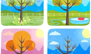 Ilustración del orden de las estaciones del año: árbol con flores (primavera), con manzanas y piscina (verano), con hojas naranjas (otoño) y con luces (invierno).