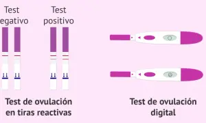 Comparativa de test de ovulación: tiras reactivas con dos líneas (positivo) y digital con carita sonriente (positivo).