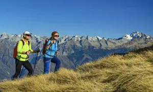 Zwei Wanderer genießen die Aussicht auf die Alpen. Sie gehen auf einem grasbewachsenen Hang, Stöcke in den Händen, mit schneebedeckten Gipfeln im Hintergrund.