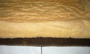 Puszysty biszkopt z 3 jaj, lekko pofalowany na wierzchu, gotowy do dalszych wypieków.