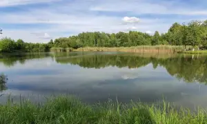Atrakcje w Ogrodzieńcu: Odkryj ukryte skarby i emocjonujące miejsca