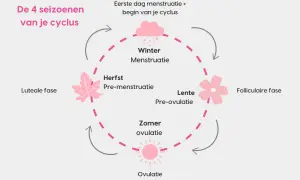 De 4 seizoenen van je cyclus: Winter (menstruatie), Lente (pre-ovulatie), Zomer (ovulatie) en Herfst (pre-menstruatie). Dit toont de cyclus vrouw stemming.