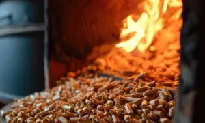 Zbliżenie na pellet w piecu, płomienie w tle. Dowiedz się, jak zlikwidować spieki w piecu na pellet.
