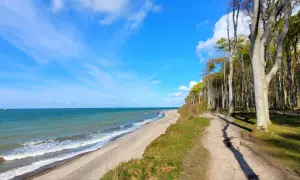 Der gespensterwald nienhagen mit seinem Strand und dem Meer unter blauem Himmel. Ein Pfad führt durch die Bäume.