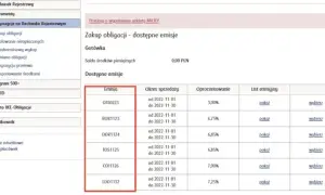 Jak wygląda zakup obligacji? Odkryj prosty proces bez zbędnych kroków