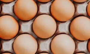 Pies i jajko na twardo: Superfood czy zagrożenie? Sprawdź!