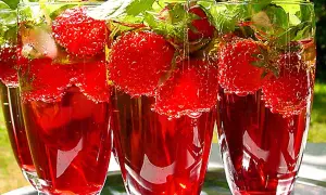 Tre glas med röd midsommar drink fyllda med jordgubbar och mynta. Perfekt för en varm sommardag.