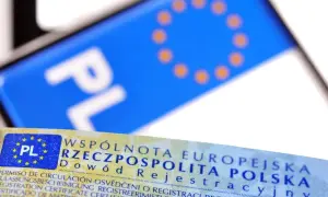 Fragment dowodu rejestracyjnego z oznaczeniem PL i flagą UE.