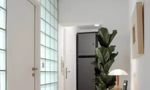 Moderne Diele mit einer Wand aus glasbausteinen verlegen, die viel Licht hereinlässt. Eine Tür und eine große Zimmerpflanze ergänzen den Raum.