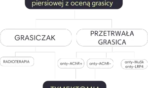 Schemat diagnostyki i leczenia miastenii: grasiczak, przetrwała grasica, radioterapia, tymektomia, przeciwciała anty-AChR, anty-MuSk, anty-LRP4.