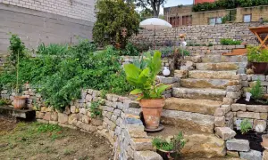 Ein Garten mit üppigen Tomatenpflanzen, begrenzt von einer niedrigen trockenmauer ohne fundament. Steintreppen führen zu einem Terrassenbereich.