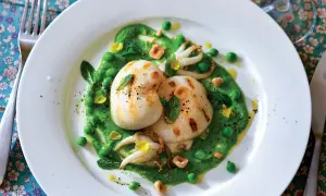 Deliziosi seppie alla griglia su un letto di crema di piselli, guarnite con menta fresca e nocciole tostate.