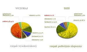 Czy olej rzepakowy to olej roślinny? Odkryj jego zdrowotne korzyści