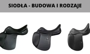 Jak wygląda siodło? Odkryj jego elementy i różnorodność typów