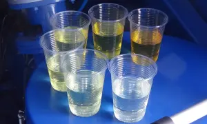 Próbki płynów w kubeczkach, niektóre żółte, inne klarowne. Może to być test porównawczy przed zastosowaniem ceramizera, by uniknąć jego wad.