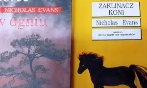 Gdzie obejrzeć "Zaklinacza koni" online? Sprawdź aktualne opcje