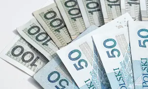 Zastępstwo procesowe to koszt, który pokrywa się z banknotów 100 i 50 zł.