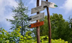 Rozdroże szlaków PTTK. Widać drogowskazy na Halę Boraczą, Halę Rysiankę, Słowiankę i Abrahamów Agroturystyka.