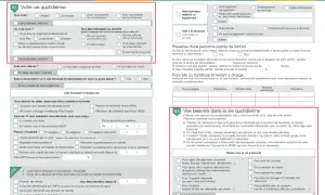 Formulaire pour une demande de carte d'invalidité, section "Votre vie quotidienne".