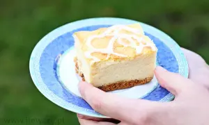 Ile waży blacha sernika? Od 2,5 do 4 kg co musisz wiedzieć?