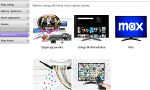 Zgłaszanie awarii w Netii: wybierz usługę, dla której wystąpił brak internetu lub inny problem. Dostępne opcje to Giganagrywarka, Usługi Multimedialne, Max, Internet i Telewizja.