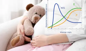 Ciężarna kobieta z misiem i wykresem hormonów. Kiedy robic progesteron? Wykres pokazuje wzrost hCG, estrogenu (E) i progesteronu (P) w miesiącach ciąży.