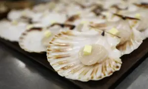 Coquilles Saint-Jacques prêtes à être cuisinées, chacune garnie d'un cube de beurre.