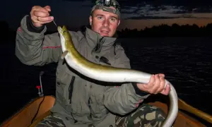 Ein Angler hält stolz einen frisch gefangenen aal im see. Die Nacht bricht herein, doch die Jagd war erfolgreich.