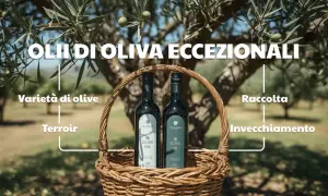 Oli d'oliva eccezionali: varietà, terroir, raccolta e invecchiamento. Il significato dell'olio IGP è qualità garantita.