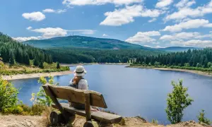 Frau auf Holzbank blickt auf See und bewaldete Berge im Harz.