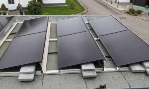 Solarmodule auf einem Dach mit Dachpappe. Der Wandanschluss ist nicht sichtbar, aber die Montage auf Betonsteinen ist zu erkennen. Eine Katze schaut neugierig hervor.
