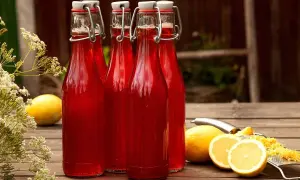 Fyra flaskor med klar, röd rabarbersaft står på ett träbord. Bredvid finns citroner och ett rivjärn. En riktig saftmaja-dröm!