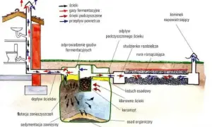 Schemat montażu przydomowej oczyszczalni ścieków z drenażem rozsączającym. Pokazuje przepływ ścieków, gazów i powietrza.