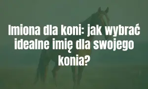 Imiona dla koni: jak wybrać idealne imię dla swojego konia? Biały tekst na tle konia.