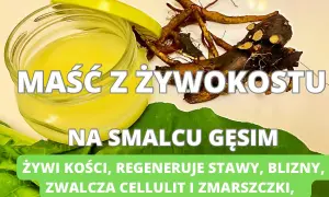 Jak zrobić maść z żywokostu na smalcu - łatwy przepis na zdrowie