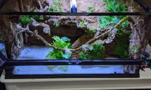 Najlepszy silikon do terrarium - bezpieczne opcje dla zwierząt i roślin