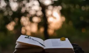 Otwarta książka na łonie natury, z gałązką i liściem. Czy to epifora co to?