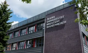 Śląski Uniwersytet Medyczny w Katowicach: Kluczowe informacje i oferty edukacyjne