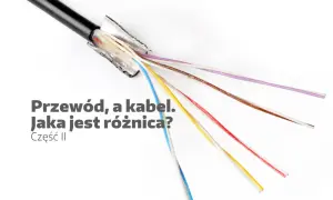 Rozdzielony czarny kabel z widocznymi kolorowymi przewodami: białym, niebieskim, żółtym, czerwonym, brązowym i fioletowym.